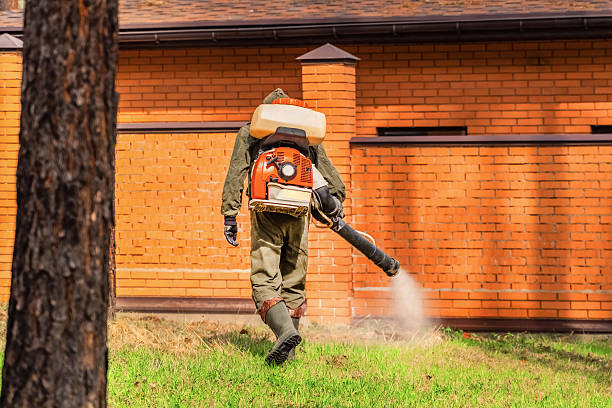 Trusted Rodent Control service in New Market, TN - Nex Pest Control